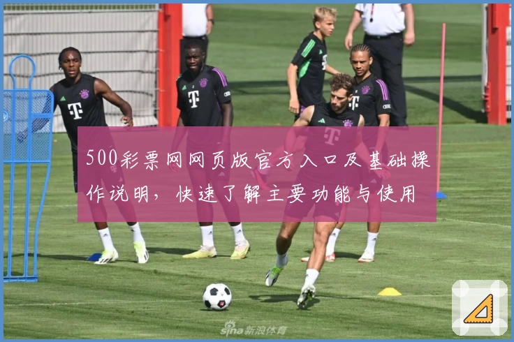 500彩票网网页版官方入口及基础操作说明，快速了解主要功能与使用技巧